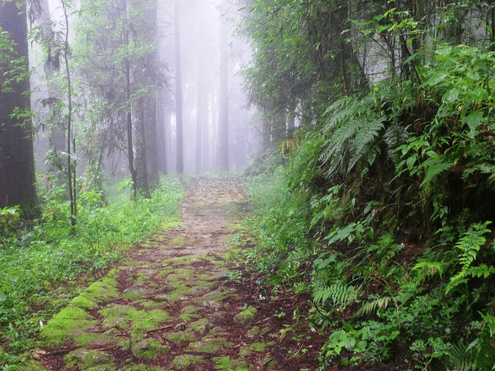 Walking trail along Maipokhari Lake