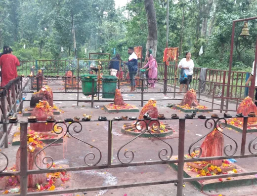 Pau Pathivara