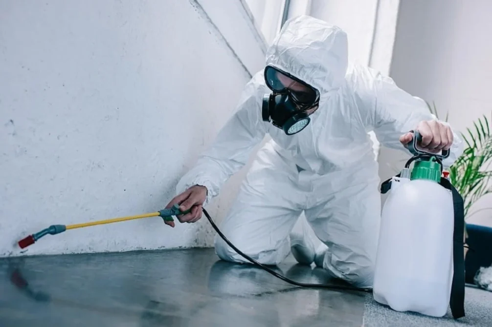 pest control image