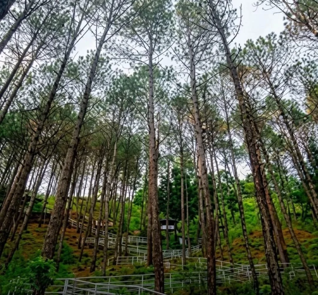 6 Best Day Trip Spots Near Kathmandu for New Year 2083 4 Bhairabsthan Lamatar Lalitpur