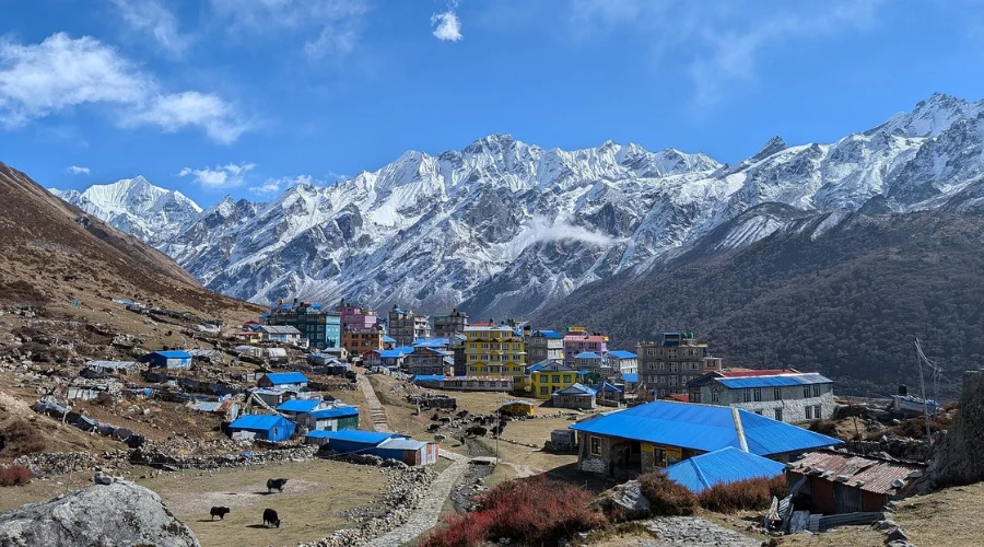 Top 5 Short Treks in Nepal: Amazing Mountain Views in Just a Few Days 4 View of Kyanjin Gompa Langtang 4. Langtang Valley Short Trek 5 Days