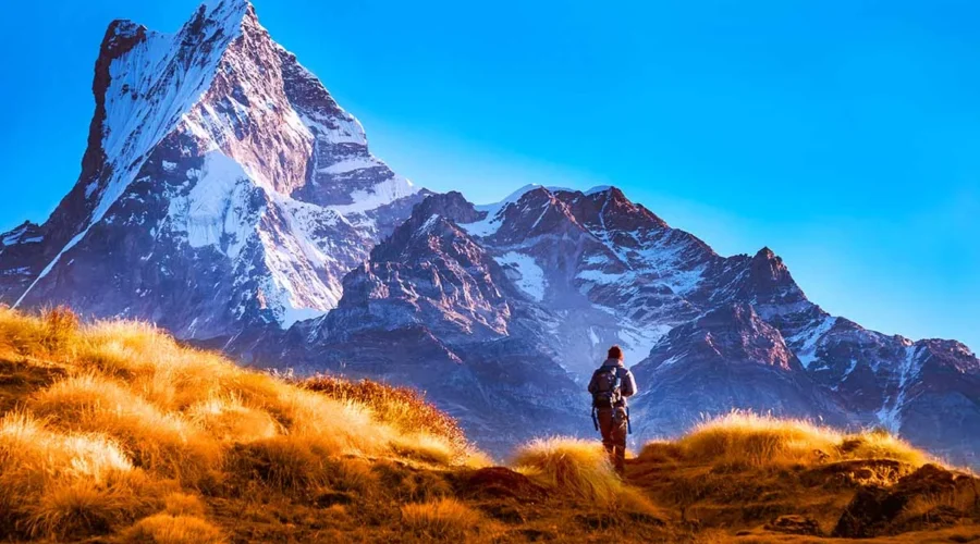 Top 5 Short Treks in Nepal: Amazing Mountain Views in Just a Few Days