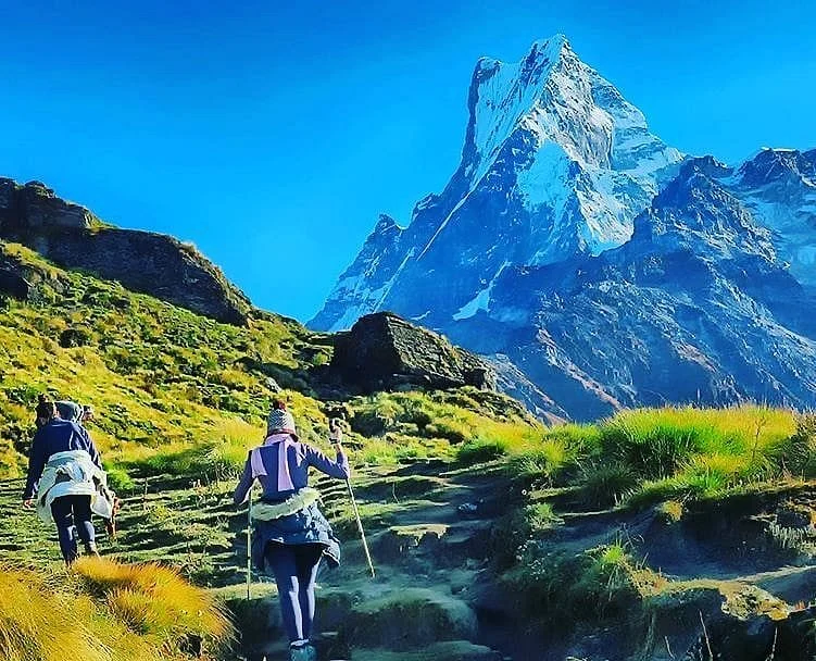 Top 5 Short Treks in Nepal: Amazing Mountain Views in Just a Few Days 5 mardi himal trek
